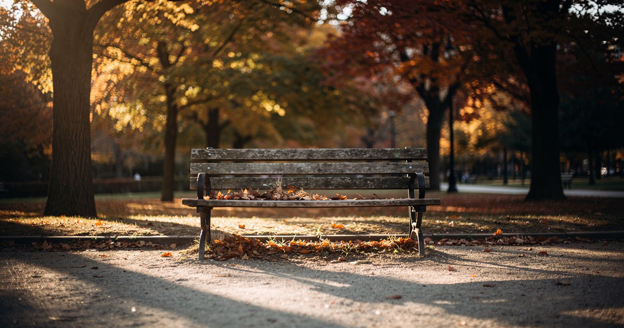 An empty park bench under golden autumn trees with long afternoon shadows across a quiet path